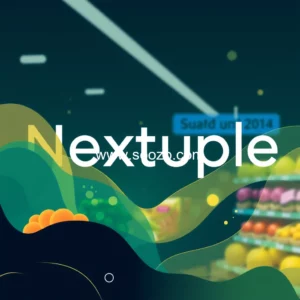 Artistic representation for Nextuple Announces Renewed Focus on IT Consulting Services to Transform Retail Grocery and B2B E commerce Operations