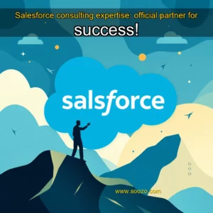 Artistic representation for Salesforce consulting expertise: official partner for success!