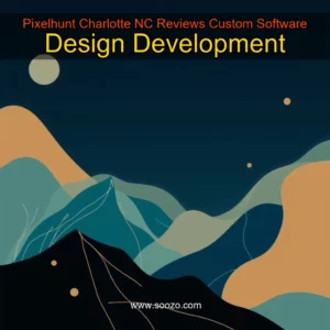 Read more about the article Pixelhunt  Charlotte  NC Reviews  Custom Software Design  Development