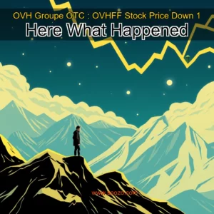 Artistic representation for OVH Groupe OTC : OVHFF Stock Price Down 1 Here What Happened