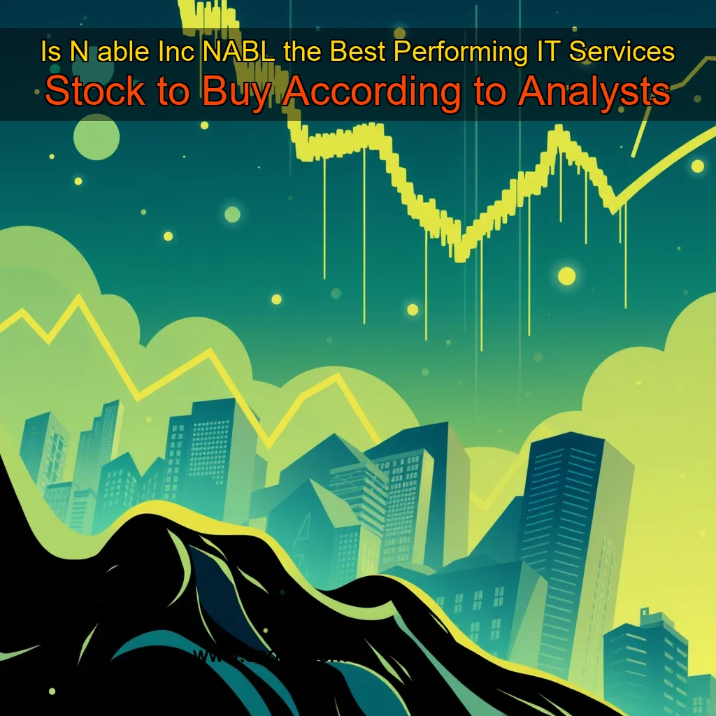 Artistic representation for Is N able Inc NABL the Best Performing IT Services Stock to Buy According to Analysts